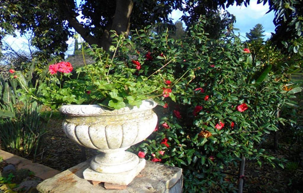 Baglio Delle Rose Bed & Breakfast Giarre Dış mekan fotoğraf