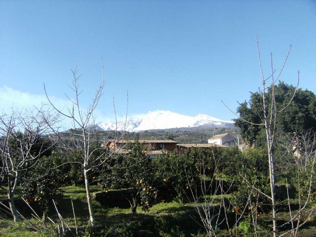 Baglio Delle Rose Bed & Breakfast Giarre Dış mekan fotoğraf