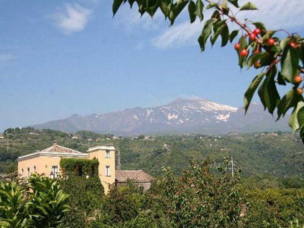 Baglio Delle Rose Bed & Breakfast Giarre Dış mekan fotoğraf