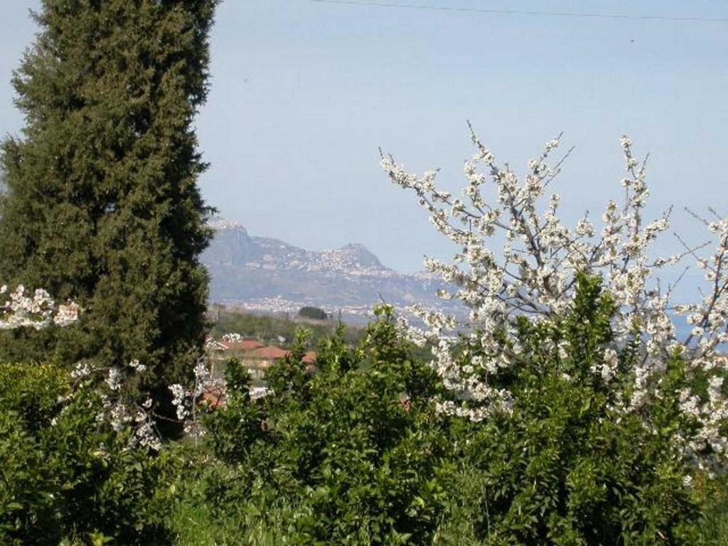 Baglio Delle Rose Bed & Breakfast Giarre Dış mekan fotoğraf